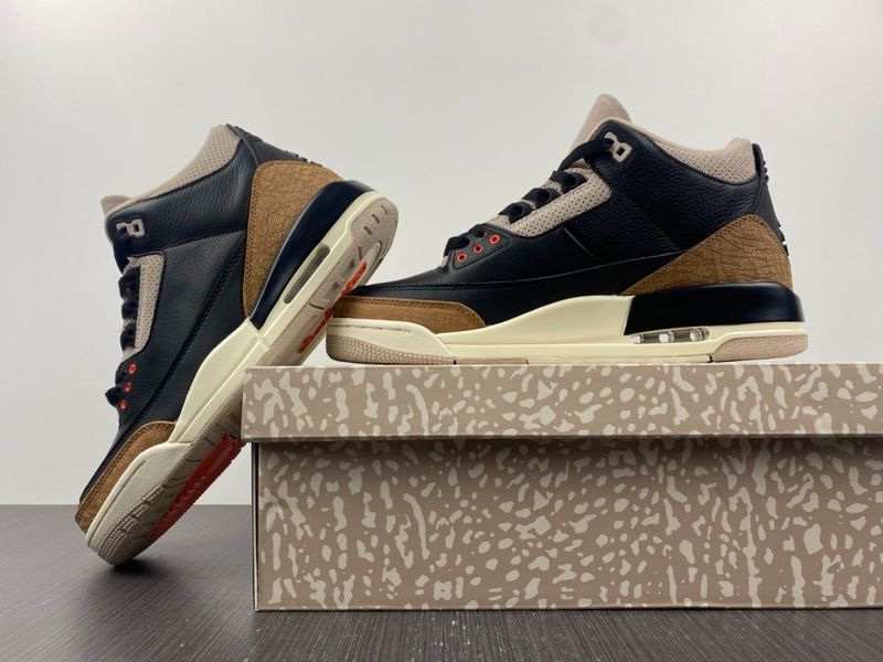 Air Jordan 3 Retro Desert Elephant  CT8532-008