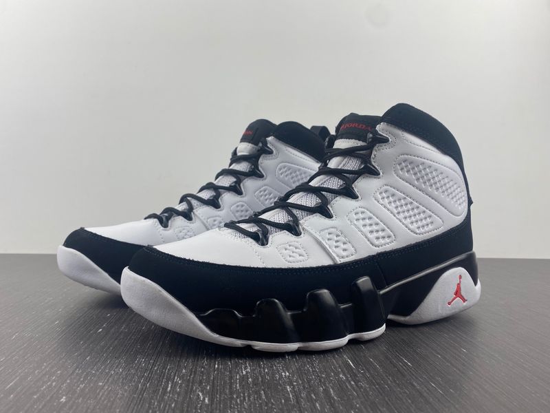 Air Jordan 9 Retro OG  302370-112