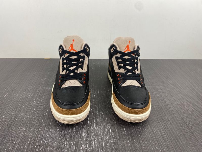 Air Jordan 3 Retro Desert Elephant CT8532-008