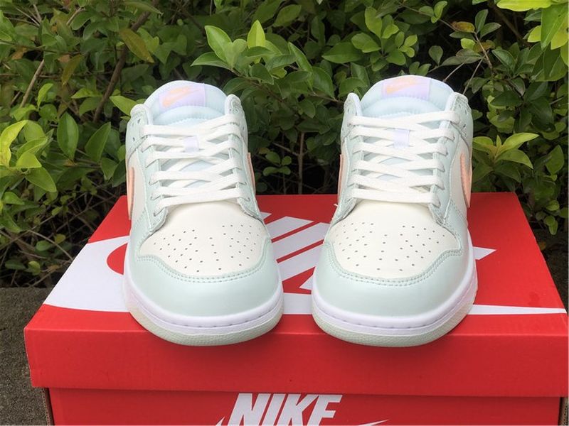 Nike SB Dunk Low DD1503-104