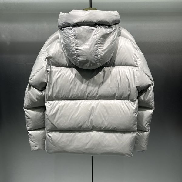 C*anada G*oose Down Coat Top Quality D17 20231108-57