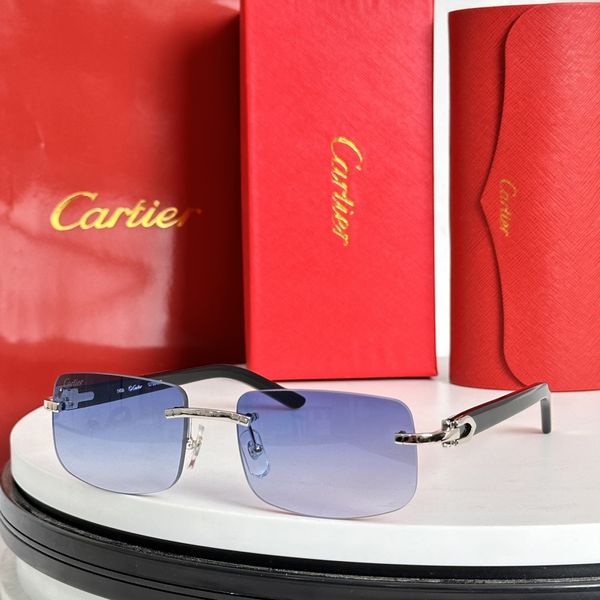 C*artier Glasses Top XX 20240721-70