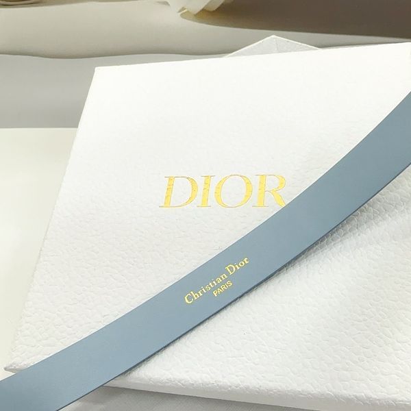 D*ior Top Belts  AT 20250403-7