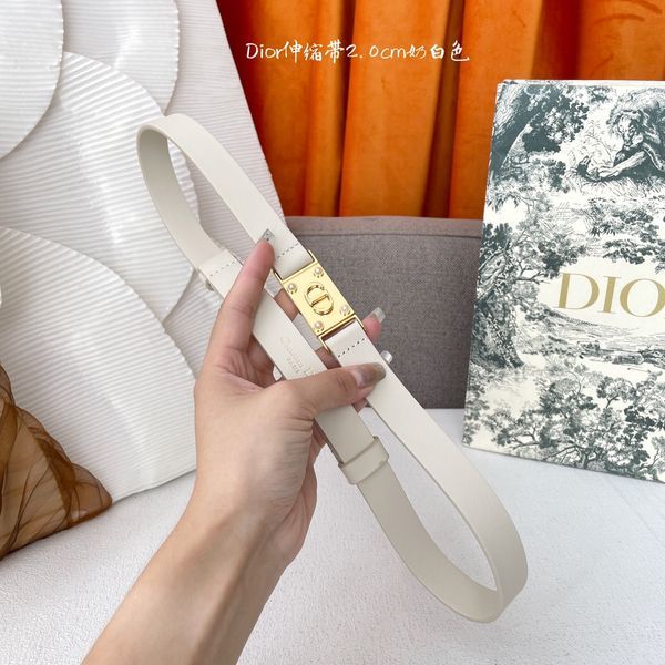 D*ior Top Belts  AT 20250407-79